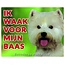 Stickerkoning West Highland White Terrier Señal de Vigilancia - Estoy vigilando