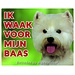 Stickerkoning West Highland White Terrier Señal de Vigilancia - Estoy vigilando