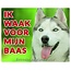 Stickerkoning Siberian Husky Waakbord - Ik waak voor mijn baas