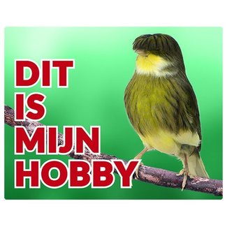 Stickerkoning Enseigne de montre Gloster Canary