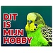 Stickerkoning Cartello orologio per pappagallini - Questo è il mio hobby Giallo-verde