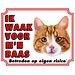 Stickerkoning Cartello Cat Watch - Sto facendo la guardia al mio padrone Rosso