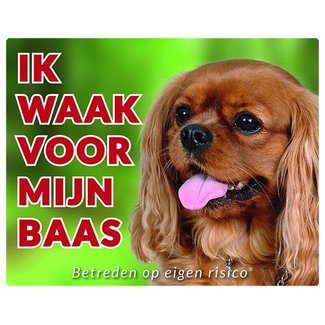 Stickerkoning Cavalier King Charles Spaniel Waakbord - Ruby