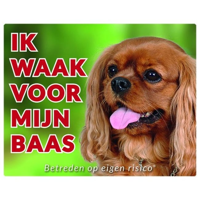 Cavalier King Charles Spaniel Uhrenschild - Rubin