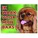 Stickerkoning Cavalier King Charles Spaniel Uhrenschild - Rubin