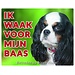 Stickerkoning Cavalier King Charles Spaniel Waakbord - Tricolour