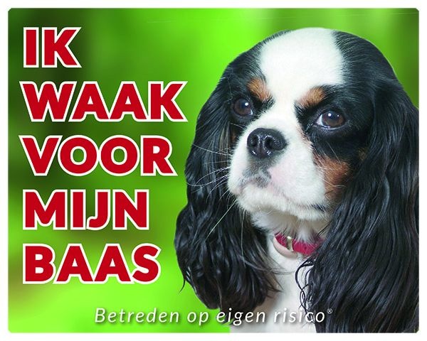 Cavalier King Charles Spaniel Waakbord - Tricolour