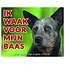 Stickerkoning Australian Cattle Dog Waakbord - Ik waak voor mijn