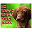 Stickerkoning Vizsla Waakbord - Ik waak voor mijn baas