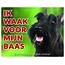 Stickerkoning Schotse Terrier Waakbord - Ik waak voor mijn baas