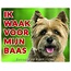 Stickerkoning Cairn Terrier Watch Sign - Ich passe auf meinen Chef auf Blonde