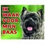 Stickerkoning Cairn Terrier Watch Sign - Ich passe auf mein Herrchen auf Grey