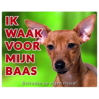 Stickerkoning Signe de surveillance du Pinscher nain - Je surveille le marron