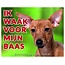 Stickerkoning Zwergpinscher-Wachzeichen - I Watch for Brown