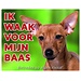 Stickerkoning Miniatuur Pinscher Waakbord - Ik waak voor Bruin