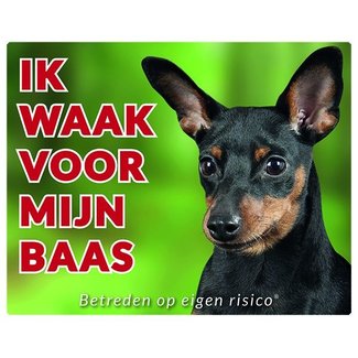 Stickerkoning Signe de surveillance pour Pinscher nain - Je surveille le noir