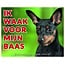 Stickerkoning Señal de vigilancia para Pinscher miniatura - I Watch for Black