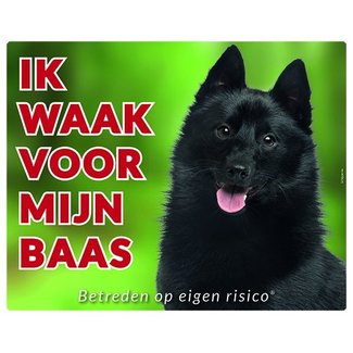 Stickerkoning Mot d'ordre Schipperke - Je veille sur mon patron