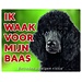 Stickerkoning Poodle Watch Sign - Vigilo a mi jefe Negro