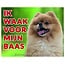 Stickerkoning Pomeranian Waakbord - Ik waak voor mijn baas