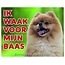 Stickerkoning Pomeranian Watch Sign - Ich passe auf meinen Chef auf