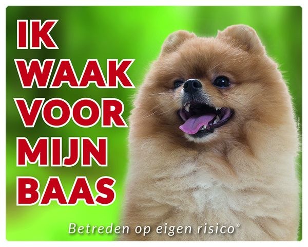 Pomeranian Waakbord - Ik waak voor mijn baas