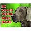 Stickerkoning Segno di guardia del Weimaraner - Sto facendo la guardia al mio padrone