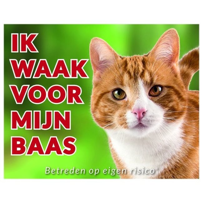 Stickerkoning Cat Watch sign - I am watching out for my master Red