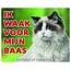 Stickerkoning Ragdoll Watch Sign - I am watching out for my boss