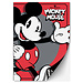 Inter-Stat Mickey  Mouse Notitieboekjes 2 Stuks