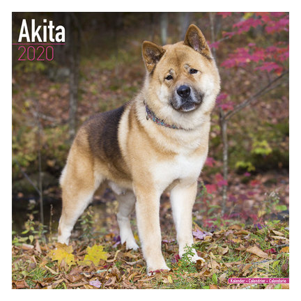 Akita Kalenders 2020