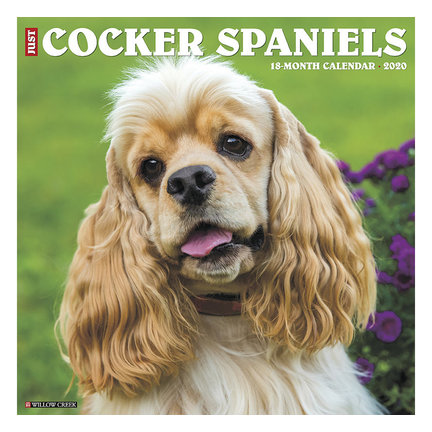 Amerikaanse Cocker Spaniel Kalenders 2021