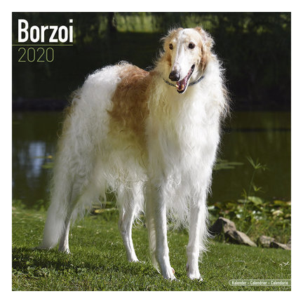 Barsoi Calendars 2021