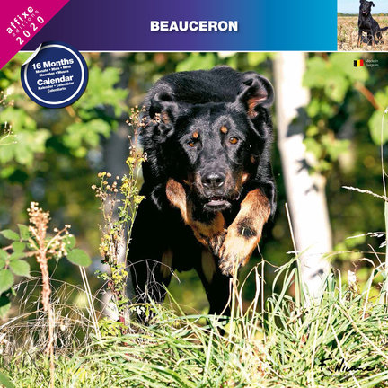 Beauceron Kalender