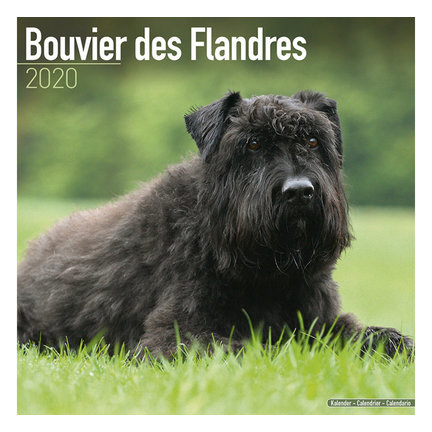 Bouvier Calendars 2021