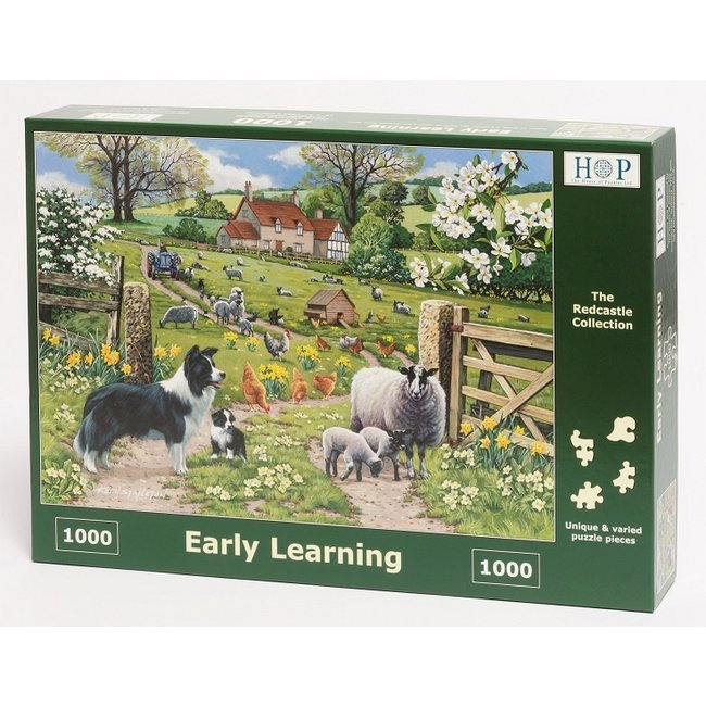The House of Puzzles Early Learning Puzzle de 1000 piezas
