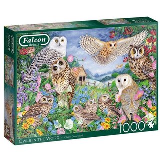 Falcon Búhos En La Madera Puzzle 1000 Piezas