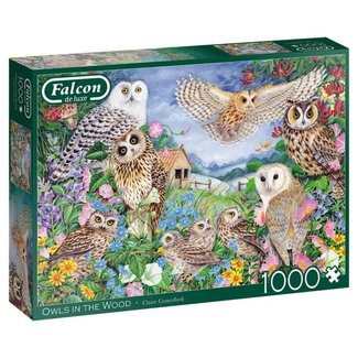 Falcon Owls In The Wood Puzzle 1000 Pieces