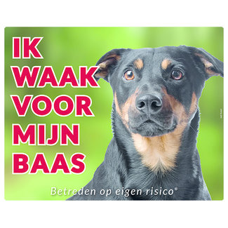 Stickerkoning Jack Russell Terrier Waakbord - Ik waak voor mijn baas
