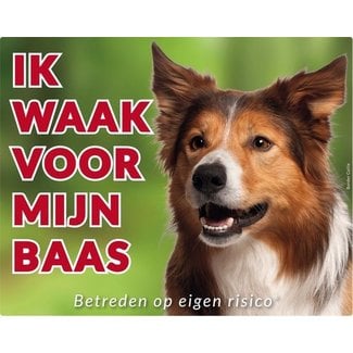 Stickerkoning Border Collie Waakbord - Ik waak voor mijn Baas