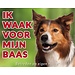 Stickerkoning Border Collie Watch sign - Je veille sur mon patron