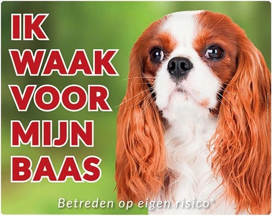 Cavalier King Charles Spaniel Waakbord - Ik waak voor mijn Baas