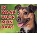 Stickerkoning Jack Russell Terrier Watch Sign - Vigilo a mi Jefe