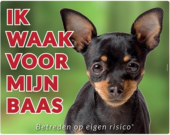 Chihuahua Waakbord Zwart - Ik waak voor mijn Baas