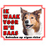 Stickerkoning Segno di guardia del Border Collie - Sto attento al mio capo