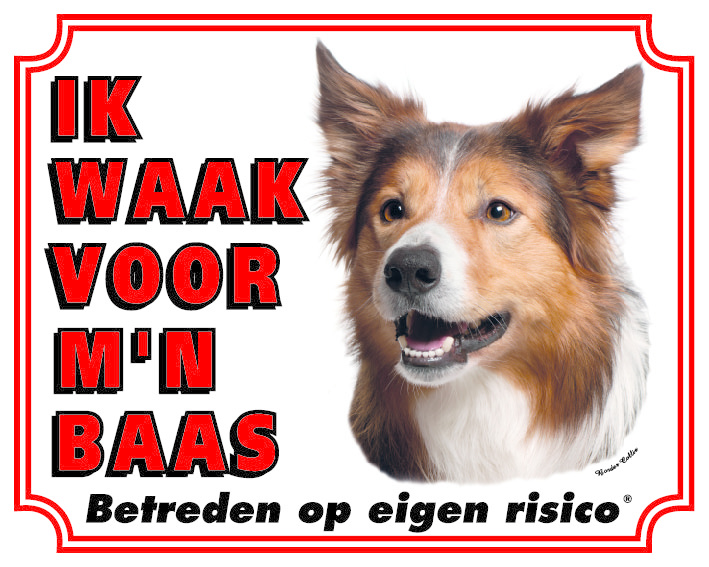 Border Collie Waakbord - Ik waak voor mijn Baas