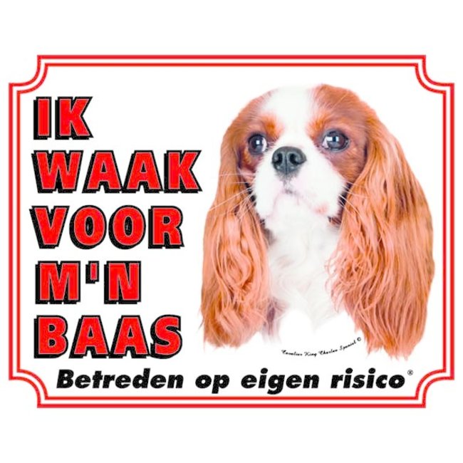 Stickerkoning Cavalier King Charles Spaniel Watch Sign - I am watching out for my Boss