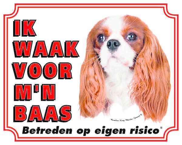 Cavalier King Charles Spaniel Waakbord - Ik waak voor mijn Baas