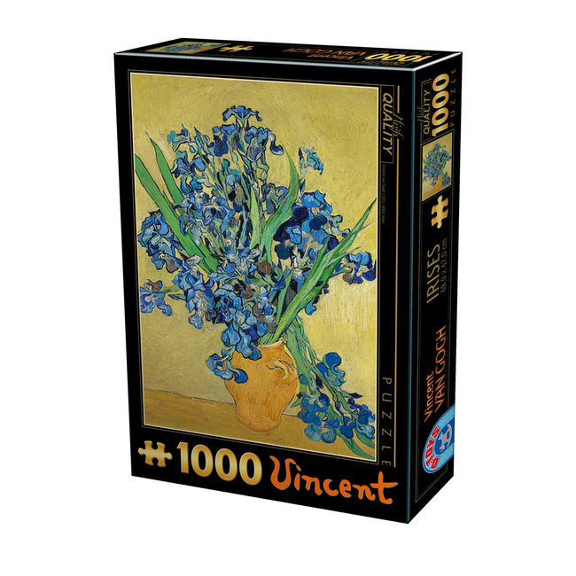 Dtoys Puzzle Van Gogh 1000 pièces