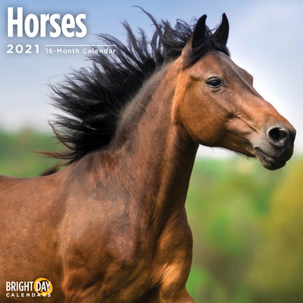 Calendrier cheval